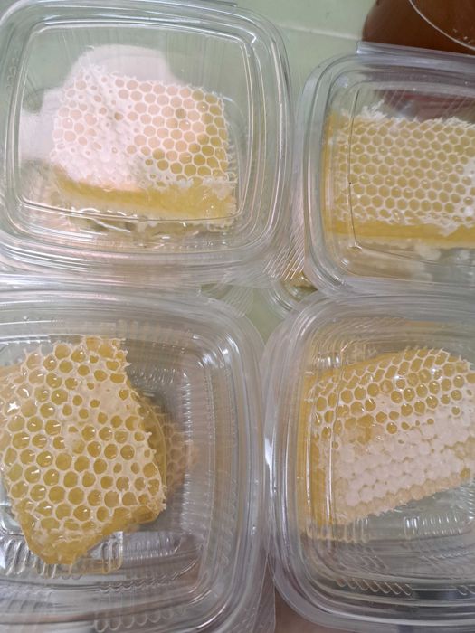 Пчелен мед и пчелни продукти реколта 2026г