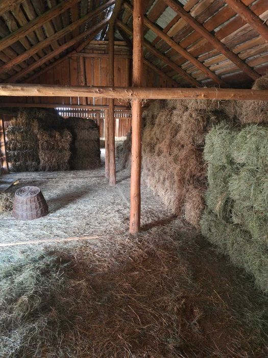 Baloti de lucernă si de fân