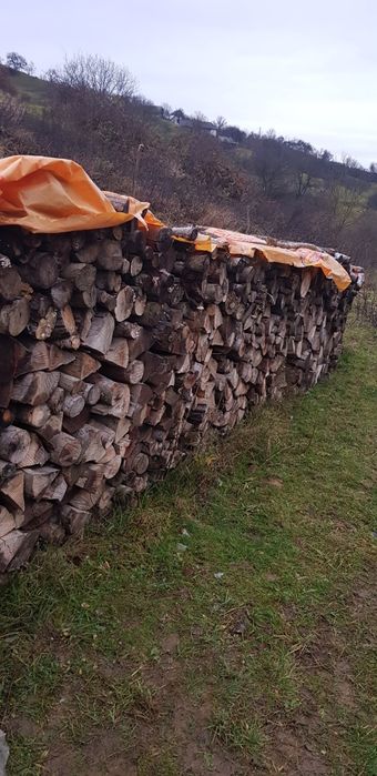 Vand lemne de foc uscate 375 lei metru ster