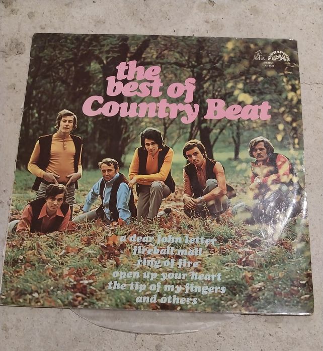 Грамофонни плочи на известни изпълнители