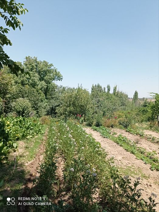 Бустонлик туманида ховли Уй сотилади.5та хона ,Икки этажли коттедж