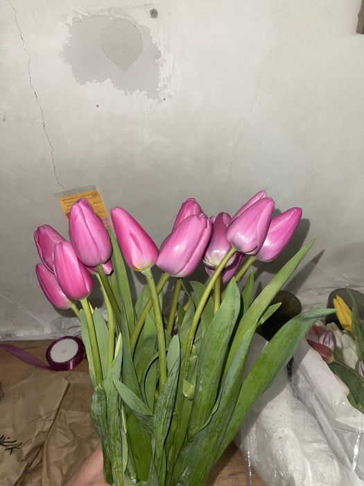 Тюльпаны оптом 350
