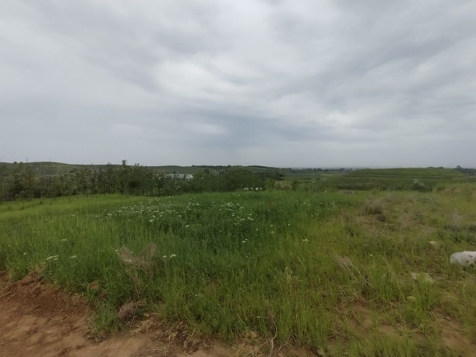 Дуслик дача жума базар ориентир 6 сотик кадастр есть