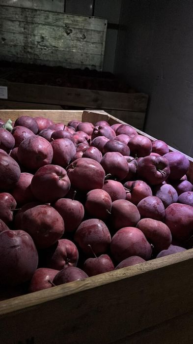 Mere polonia superr calitate