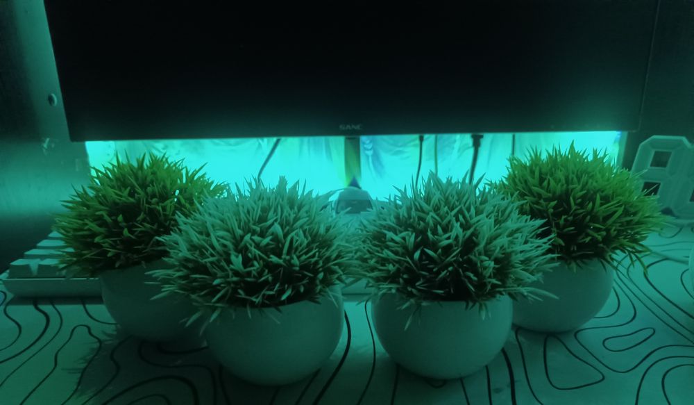 Игровой сетап с декорацией