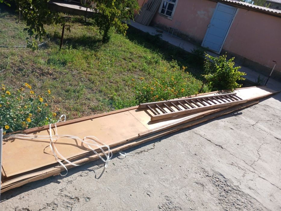 Taxta, shefir, cherniy potolok