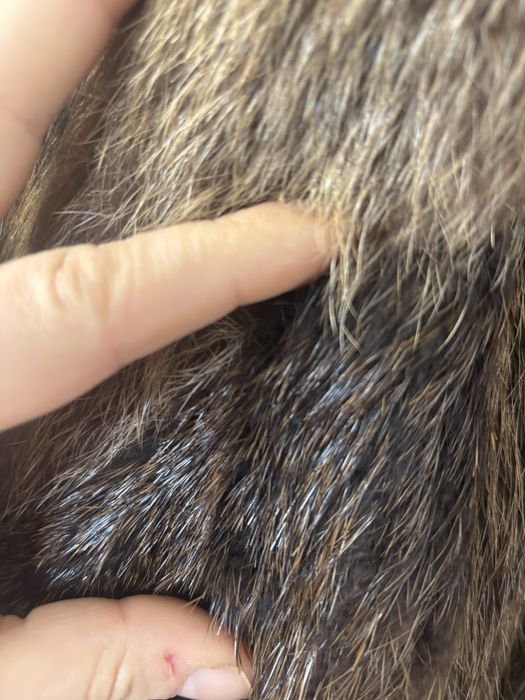 Haina de blana naturala