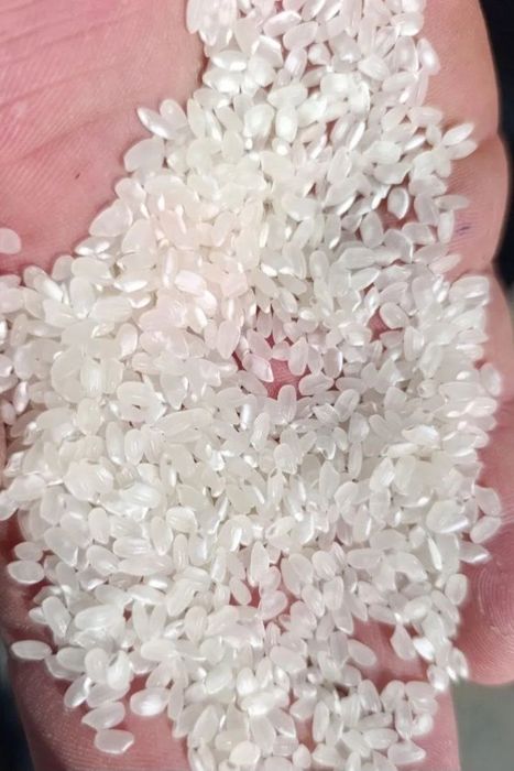 Хоразм гуруч база, оптом перечисления бор, Xorazm guruch optom