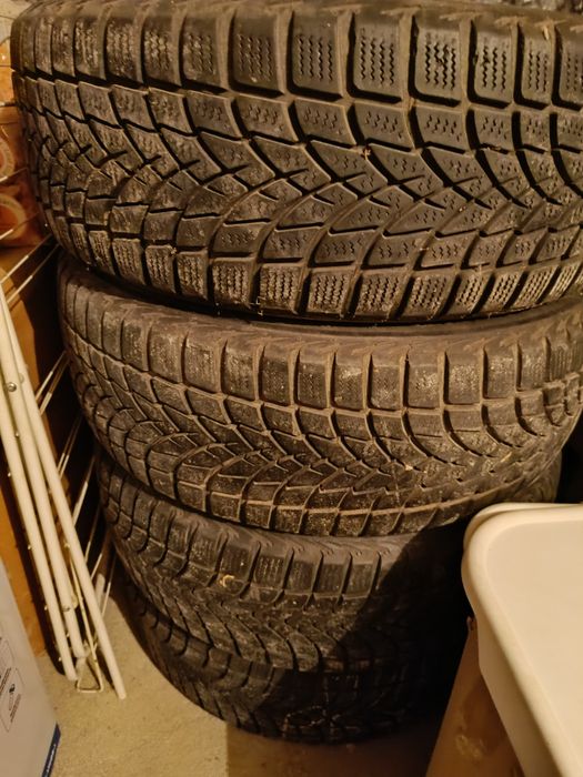 Зимни гуми с джанти Dayton DW510 205/55/16