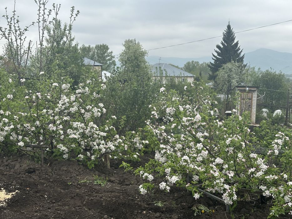 Продам двухэтажный особняк в городе Алтай (Зыряновск)