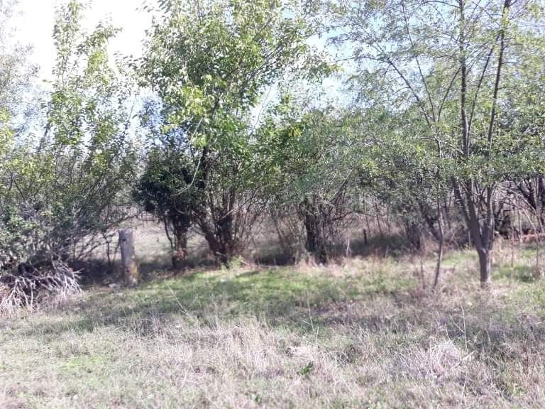 Продава се Парцел в с. Бояново, Област Ямбол - 755 кв.м за 5 €/кв.м - Снимка #9