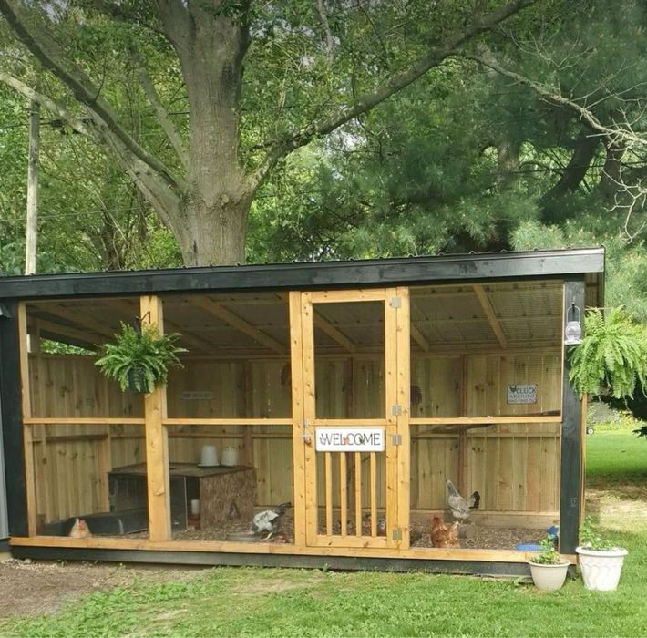 Курятник с выгулом