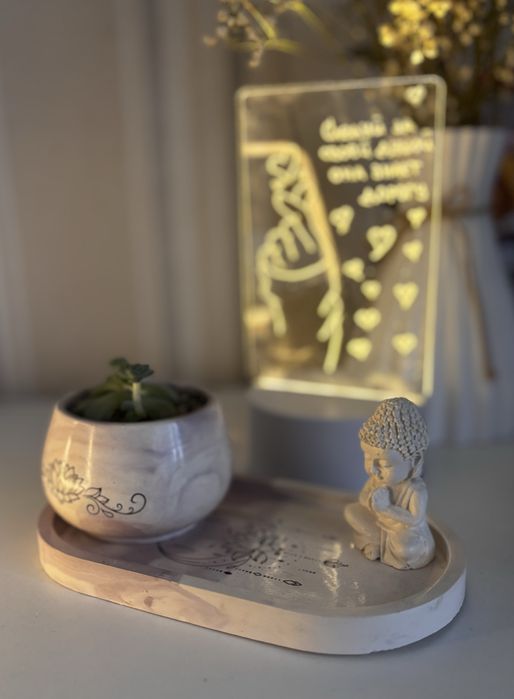 Набор с эхеверией из гипса