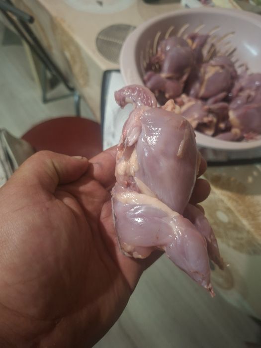 Продавам пъдпъдъци