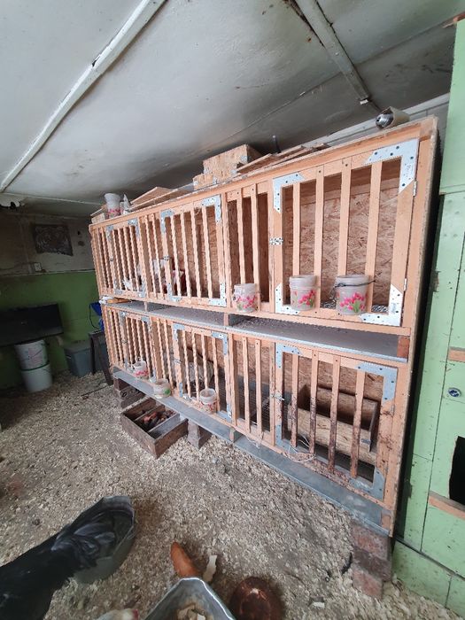 Клетка для курей
