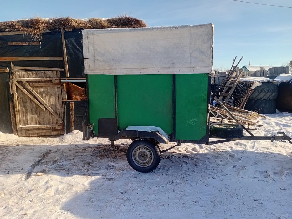 Перевозка Скота лошадей