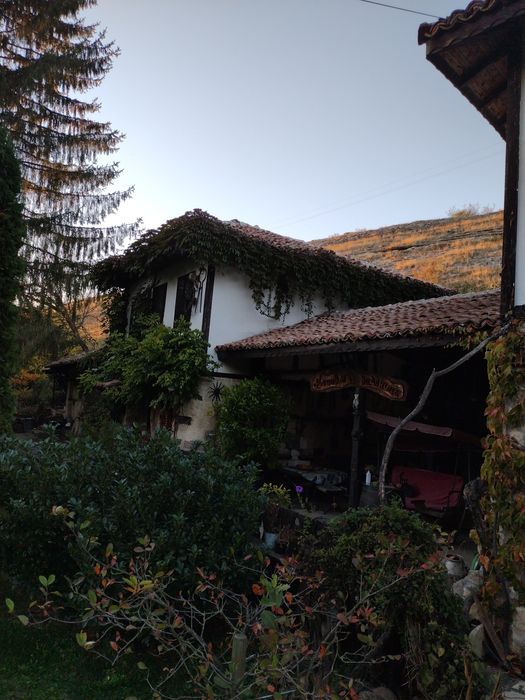 Дава се под наем Къща в с. Тученица, Област Плевен - 240 кв.м за 331.5 € - Снимка #5