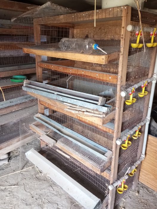 Бөдене сетка, брудер