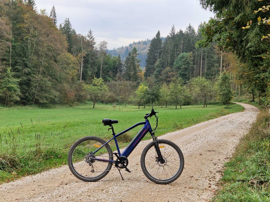 Bicicleta electrica carpat sport