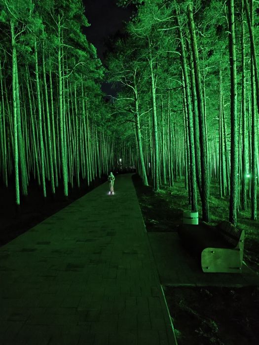 В живописном месте пос. Санаторий Щучинский