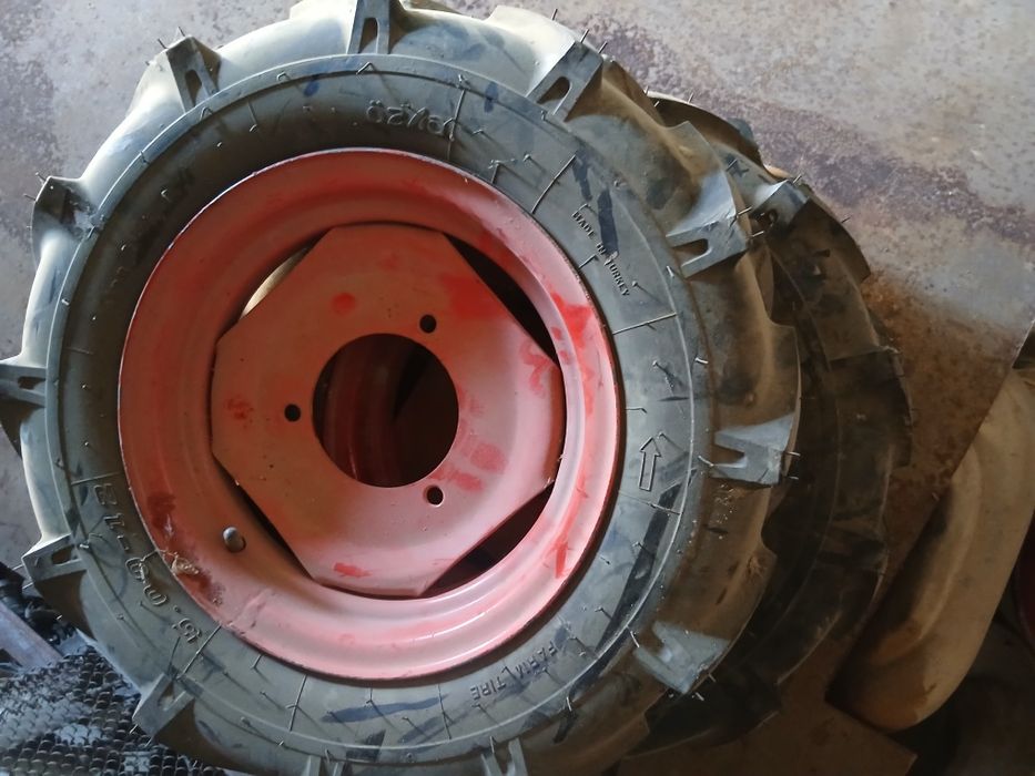 Daychi selkaga zapchaslar bor