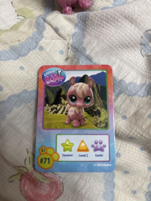 Lps альпака littlest pet shop