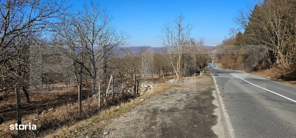 Teren de 30 de ari, Dumitra, 5km de Bistrita