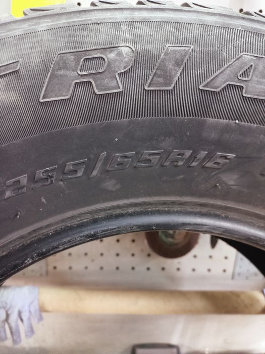 Продам два баллона на 16
