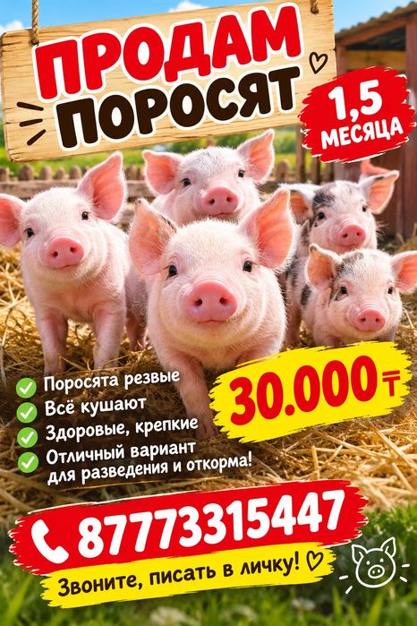 Домашние Петушки леггорны