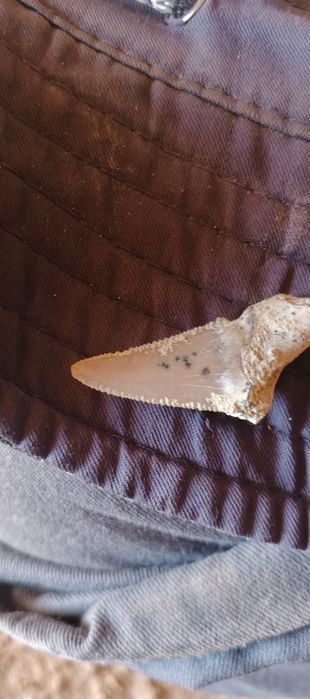 qadimiy topilma qum orasidan chiqdi