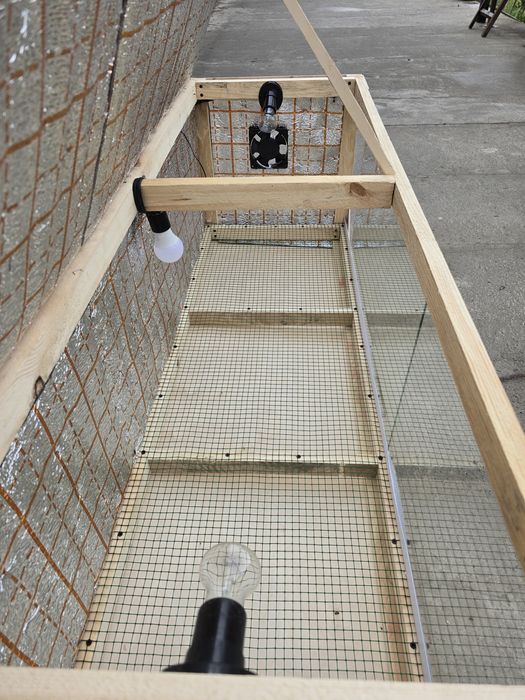 Bruder брудер жужа учун