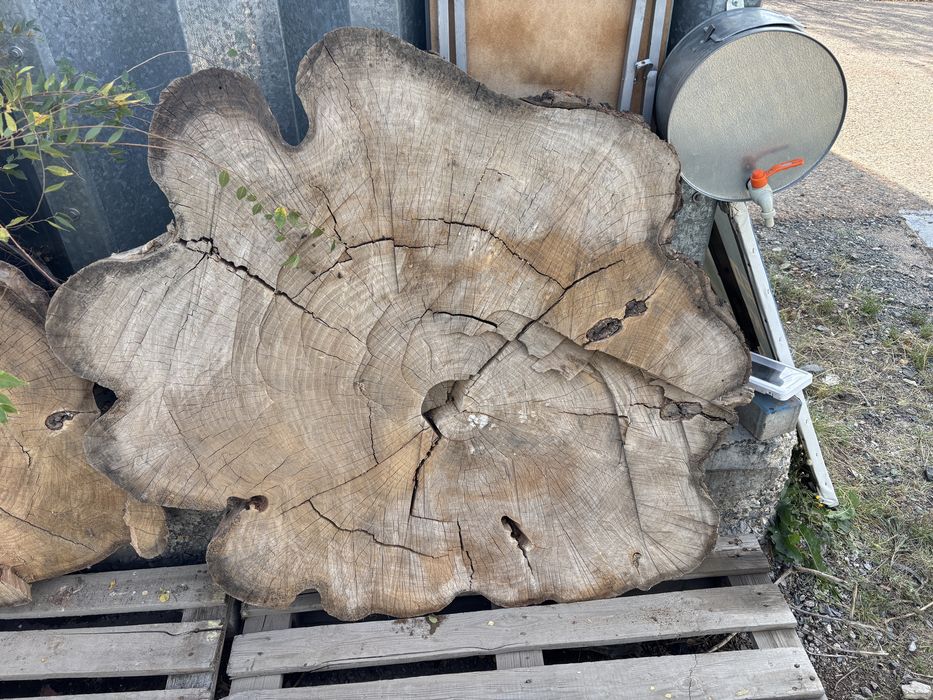 Карагач спилы разные размеры