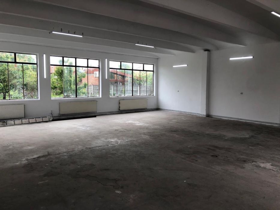 Casa de vanzare cu hala pretabil afacere