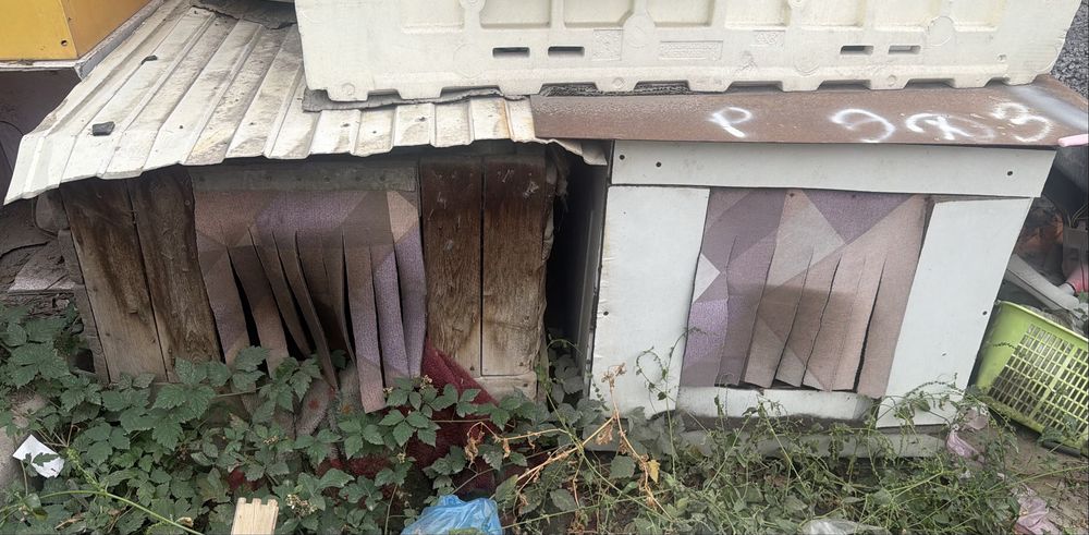 Отдам бесплатно 2 будки для собак