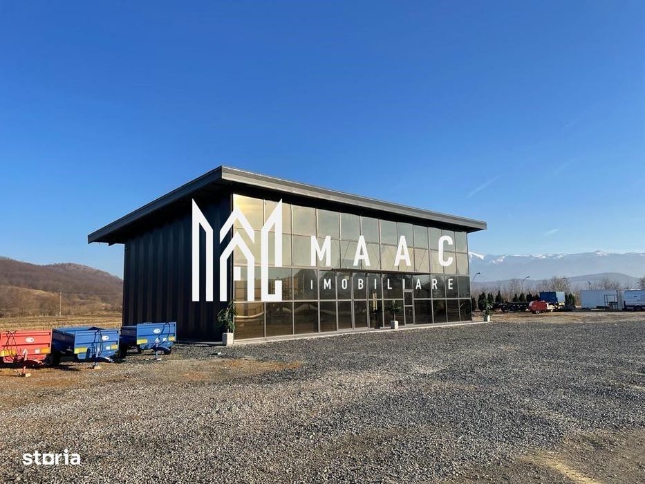 Hala | 250 MP |  Teren 3900 MP |