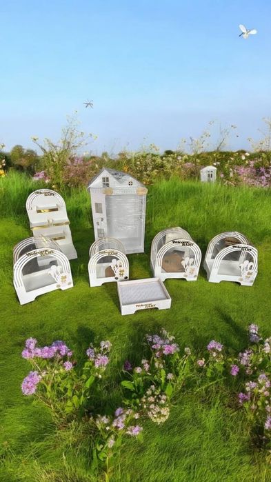 Sarpo qutilari prakat va yasab berish xizmatlari