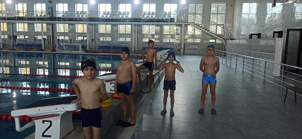 Катталар ва болалар учун сузиш машгулоти