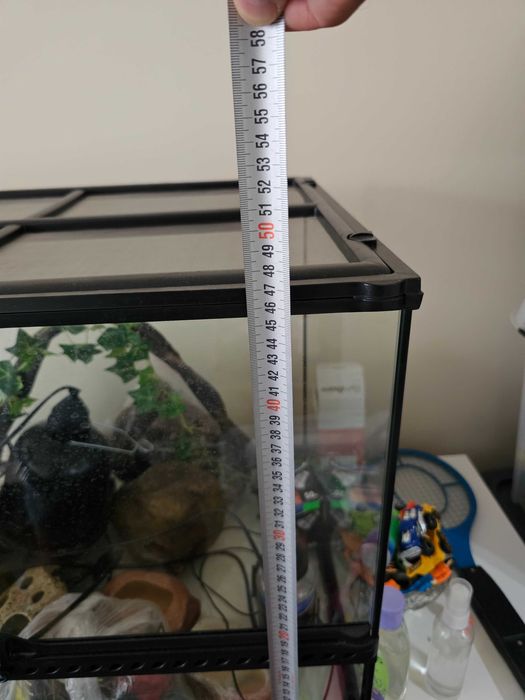 Терариум за влечуги