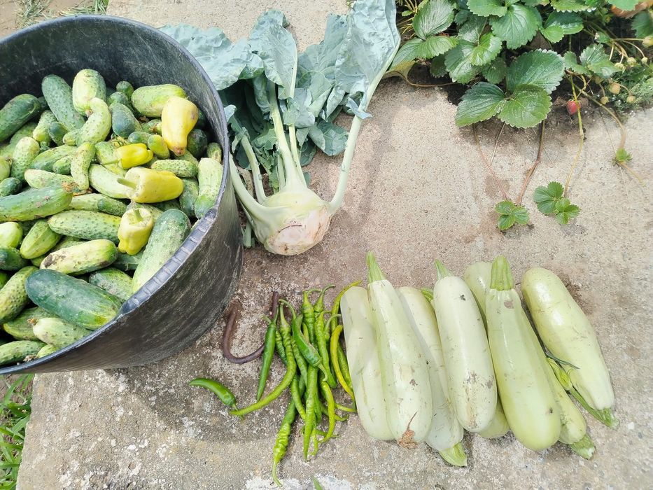 Legume din grădină
