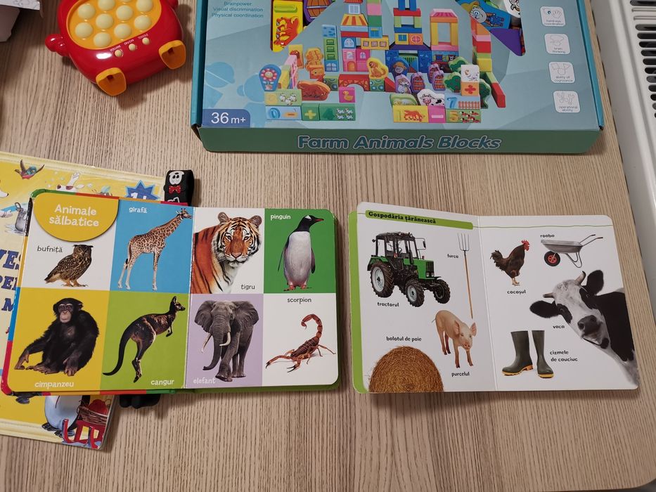 REZERVAT Lot jucării și cărți