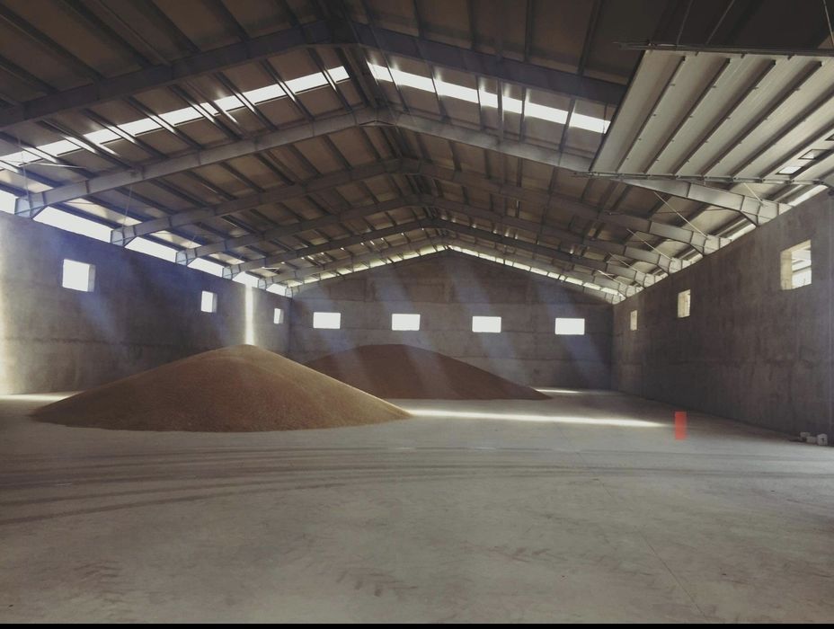 Vand hala pe structura pentru depozitare cereale invelita cu tabla