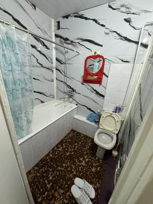 кора камиш 1/4 аренда