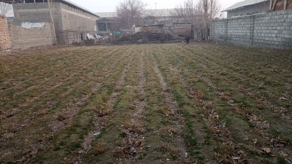 Narxini kelishamiz. Kami bor.Yer uchastka sotiladi.