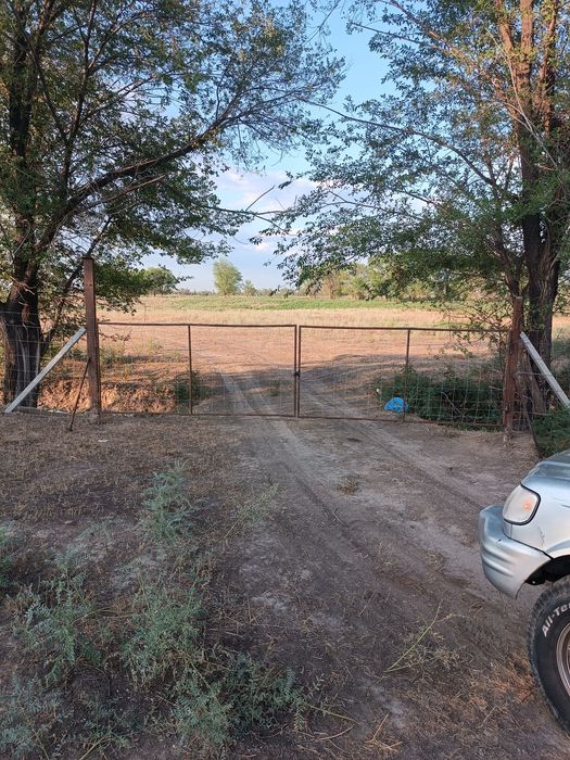 Сдам в аренду земельный участок под КХ