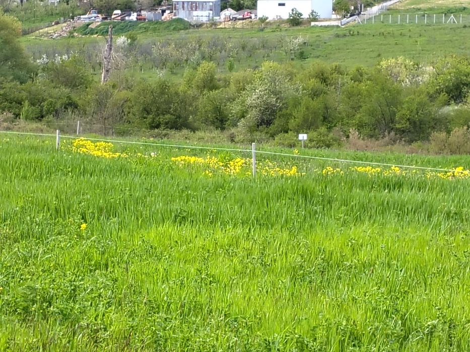 Продава се Земеделски имот в Дебелец -  кв.м за 7 €/дка - Снимка #6