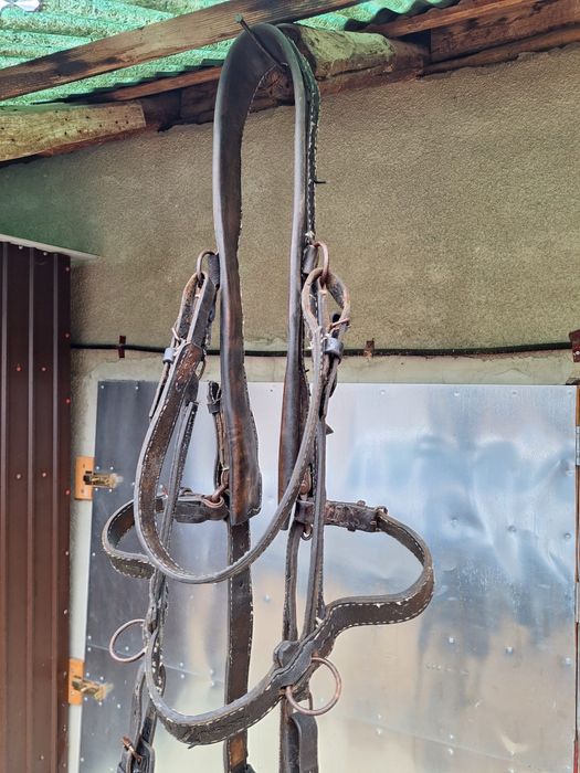 Vand caruta si ham cai