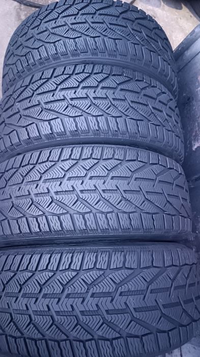 225/50/17 Kormoran