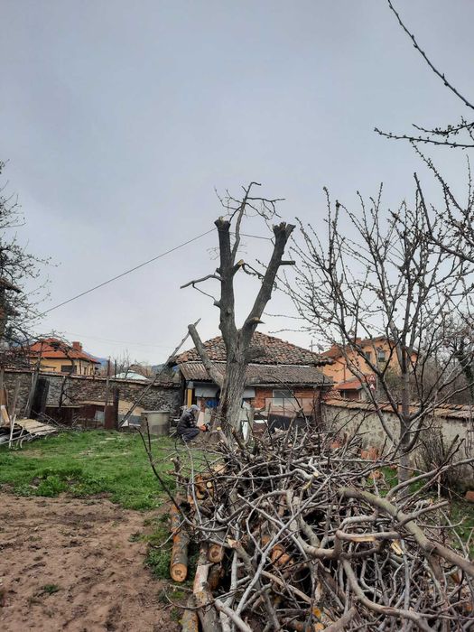 Почистване на запустели терени и двор.,дробилка за клони,горски мулчер