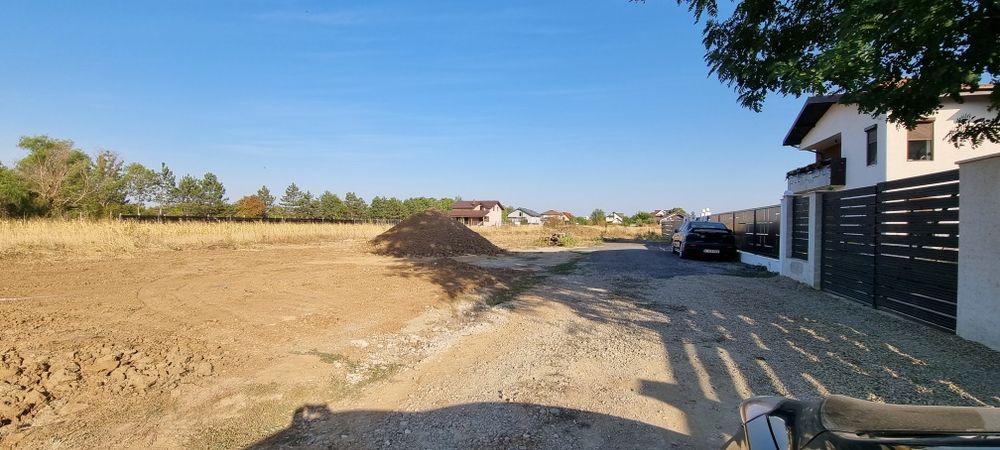 Teren padure Snagov Ciofliceni
