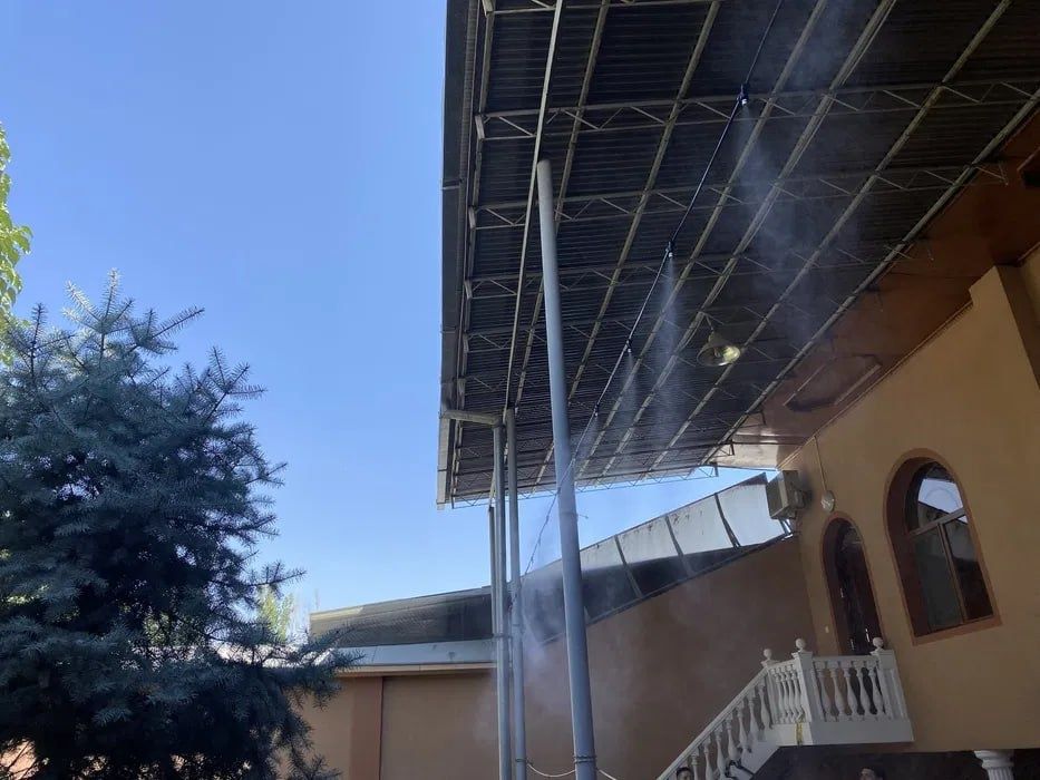 Туманный микроклимат